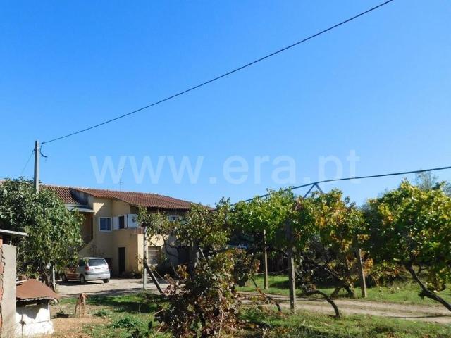 Quinta T6 / Fundão, Valverde