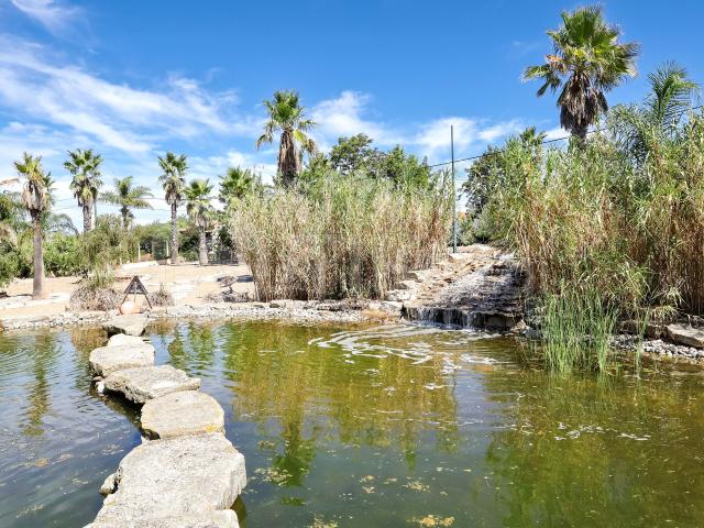 QUINTA T7 COM ALOJAMENTO LOCAL, RESTAURANTE, PISCINA E LAGO EM BEJA SÃO PEDRO DE SOLIS