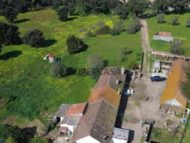 Quinta T7 na Quinta do Anjo