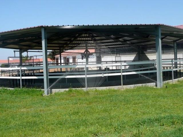 Quinta T9 à venda em Odemira