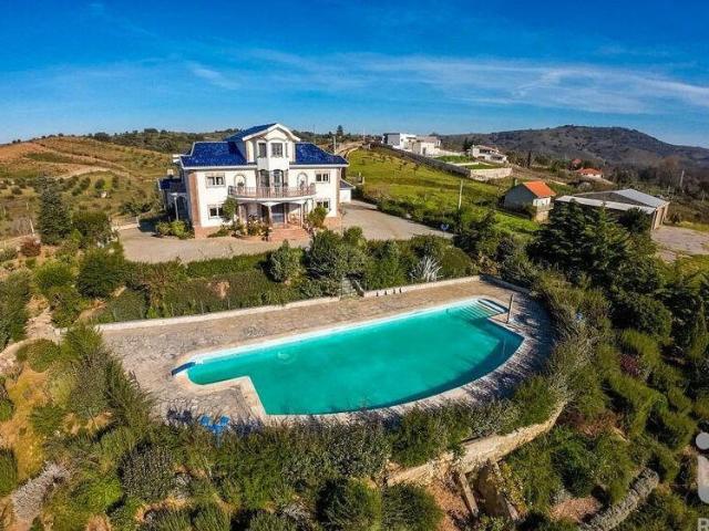 Quinta T9 em Mirandela de 1021,00 m²