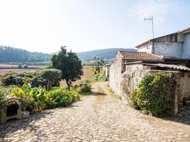 Quinta Temática com +30.000 m² em Silveiros – Barcelos