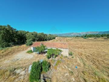 Quinta Terlamonte