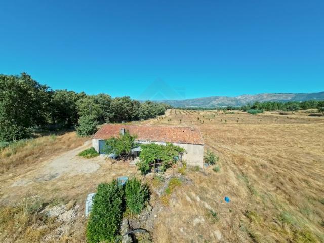 Quinta Terlamonte