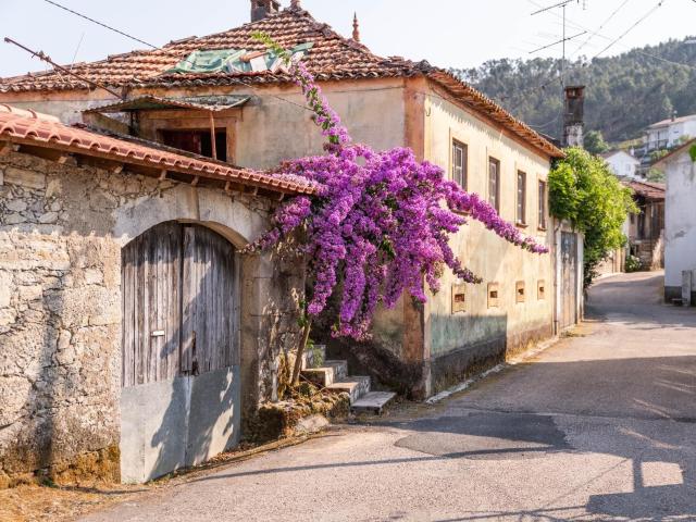 Quinta Tradicional T3 com terreno 1653m2, anexos, poço e espigueiro em Vale do Tronco, Penacova