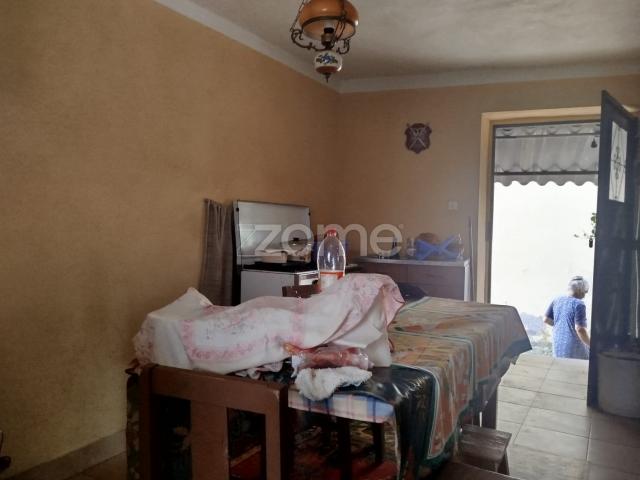 Quinta Única Encostada ao Rio Mondego – Um Refúgio Natural de Sonho