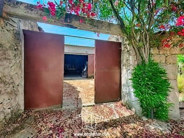 Quinta Urbana Árvores de Fruto e Armazém Idanha a Nova Castelo Branco