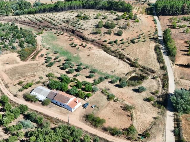 Quinta urbana com licença de habitação, com um terreno de 64.500 m² oliveiras e árvores de fruto