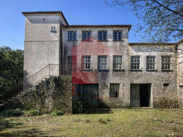 Quinta V5, Rio Mau
