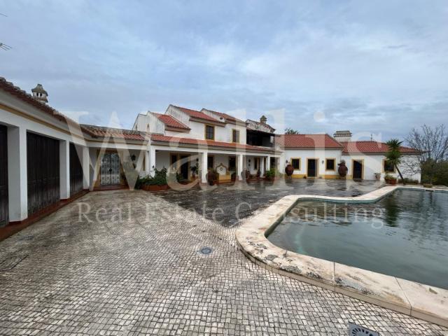 Quinta V6 inserida num terreno com 2,2 hectares em Montemor o Novo | Wallis Real Estate