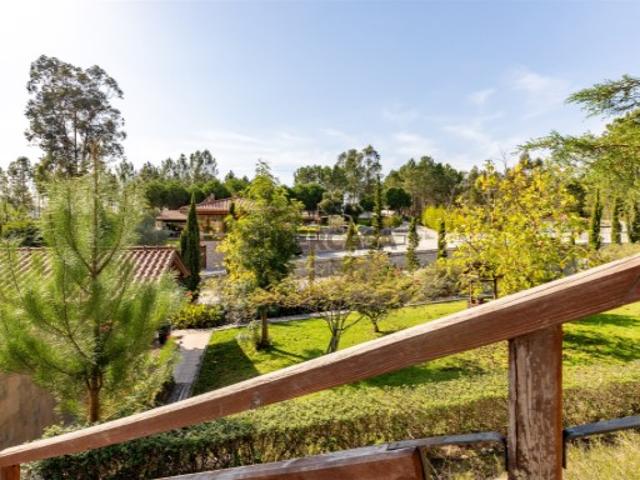 Quinta Venda em Almagreira,Pombal