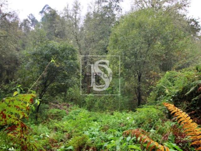 Quinta Venda em Formariz e Ferreira,Paredes de Coura