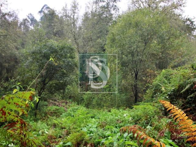 Quinta Venda em Formariz e Ferreira,Paredes de Coura