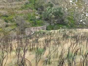 Quinta Venda em Figueiró da Serra e Freixo da Serra,Gouveia