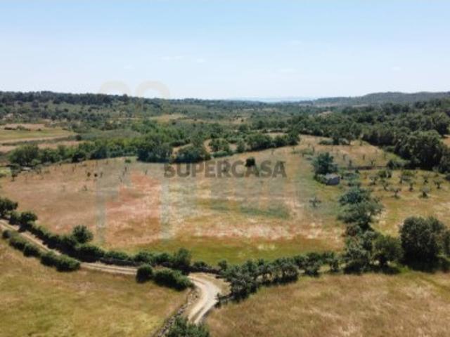 Quinta Venda em Oledo,Idanha a Nova