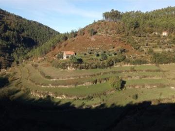 Loriga, Distrito de Guarda