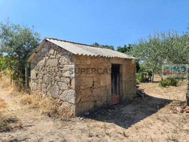 Quinta Venda em Lardosa,Castelo Branco