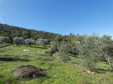 Sandomil, Distrito de Guarda - Despensa