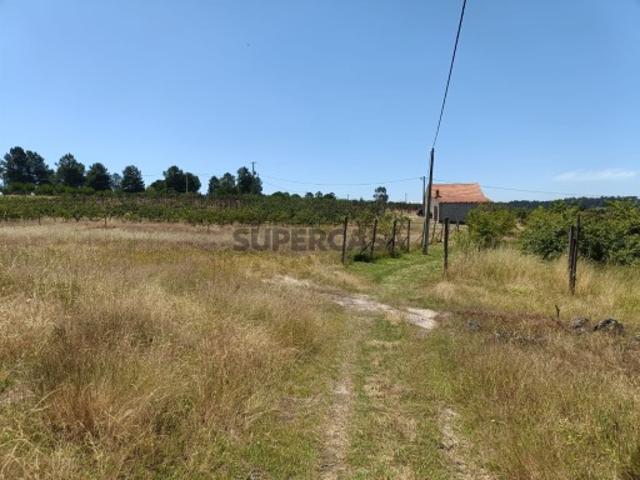 Quinta Venda em Santa Marinha e São Martinho,Seia