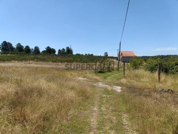 Quinta Venda em Santa Marinha e São Martinho,Seia