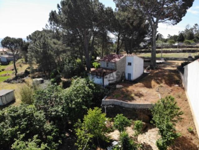 Quinta Venda em Santiago de Cassurrães e Póvoa de Cervães,Mangualde