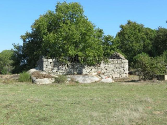 Quinta Venda em Paranhos,Seia