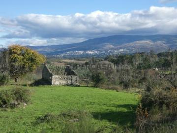 Quinta Venda em Vila Nova de Tazem,Gouveia