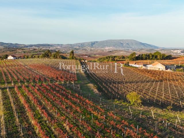 Quinta vitivinicola centenária com 34,5 hectares em Alenquer, Lisboa