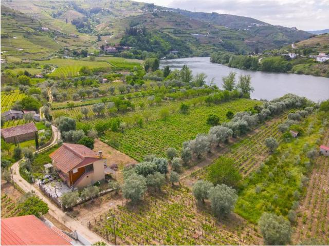 Quinta vinícola com Acesso Privado ao Rio Douro