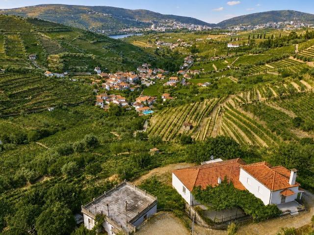 Quinta Vinícola de 5 Cantos | DOC Vinha do Douro e Vistas pa. 536m² Cambres