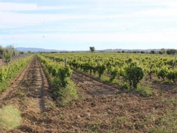 Aldeia da Serra, Redondo, Redondo, Concelho de Redondo, Distrito de Évora