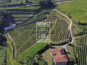 Quinta Vinícola em Idães Felgueiras