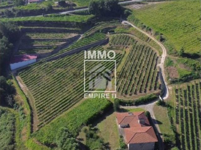 Quinta Vinícola em Idães Felgueiras