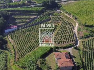 Quinta Vinícola em Idães Felgueiras