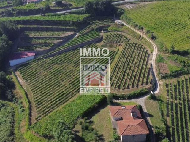 Quinta Vinícola em Idães Felgueiras