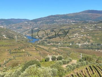 Quintião, Cambres, Lamego, Distrito de Viseu