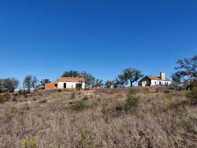 QUINTA, vista mar 5.575ha