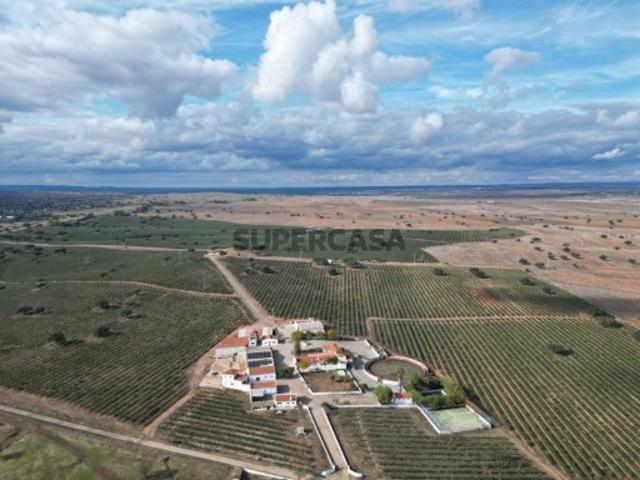 Herdade/ Quinta em Évora Reguengos de Monsaraz