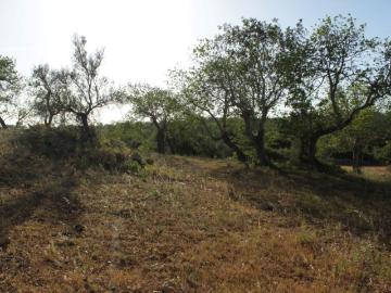 Assumadas, Algoz e Tunes, Concelho de Silves, Distrito de Faro, Algarve