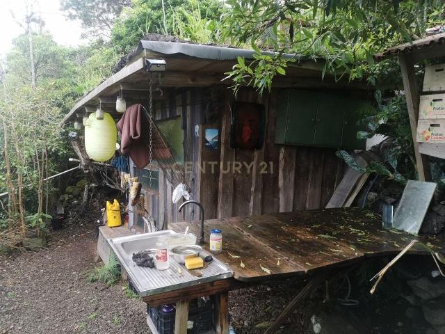 Quintas na Zona da Cuada Fajã Grande, Ilha as Flores