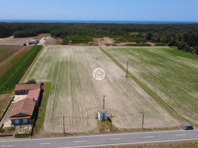 QUINTAS DO NORTE – MURTOSA