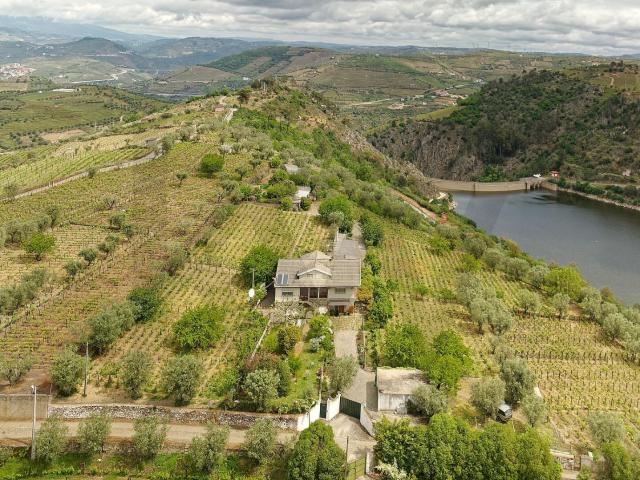 Quintas do Seixo e das Cortes: O Coração do Douro Vinhateiro com Vista Rio