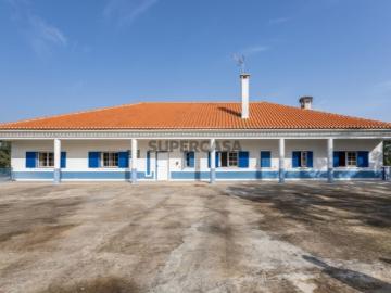 Couço, Coruche, Distrito de Santarém - Quintal