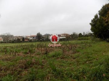 Quintas e casas rústicas em Lousado