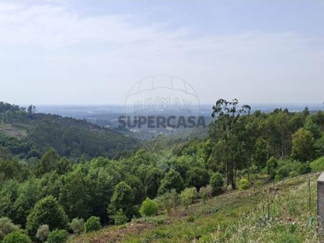 Terreno em Luso