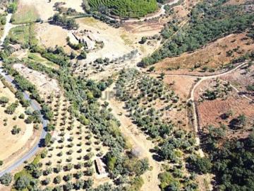 Quintas e casas rústicas em São Salvador e Santa Maria