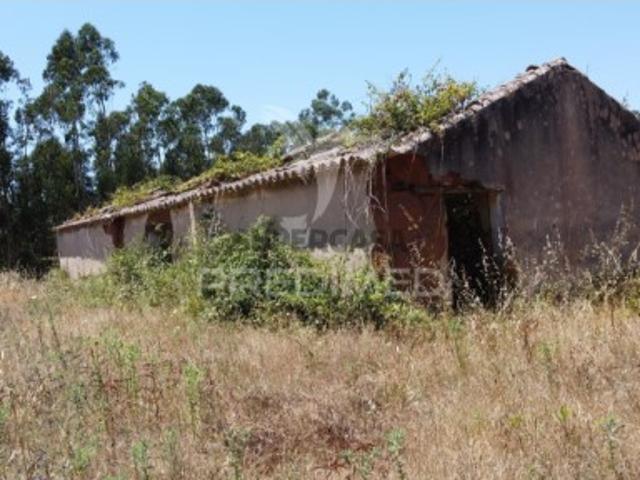 Quintas e casas rústicas em São Salvador e Santa Maria