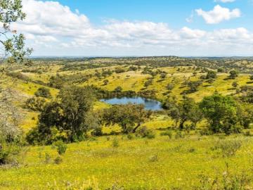 Safara e Santo Aleixo da Restauração, Moura, Distrito de Beja