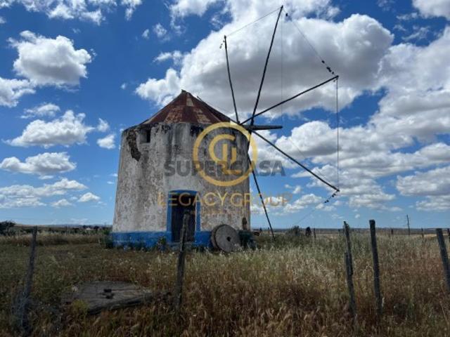 Quintas e casas rústicas em Panoias e Conceição
