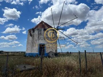Quintas e casas rústicas em Panoias e Conceição